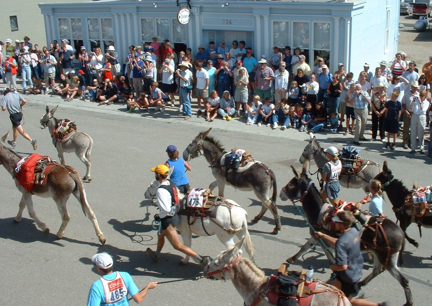 Burro Race Fairplay